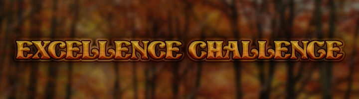 Excellence Challenge Banner