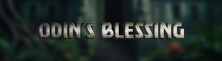 Odin's Blessing Banner